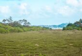 Breathtaking wetland outlooks, and distant sea views, 33B St Peters Street, Northcote, Auckland