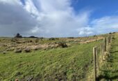 63.838 hectares lifestyle land, The vendor is motivated and ready to cash up, 210G Monowai Road, Wainui, Auckland