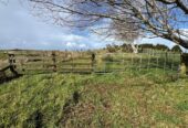 63.838 hectares lifestyle land, The vendor is motivated and ready to cash up, 210G Monowai Road, Wainui, Auckland