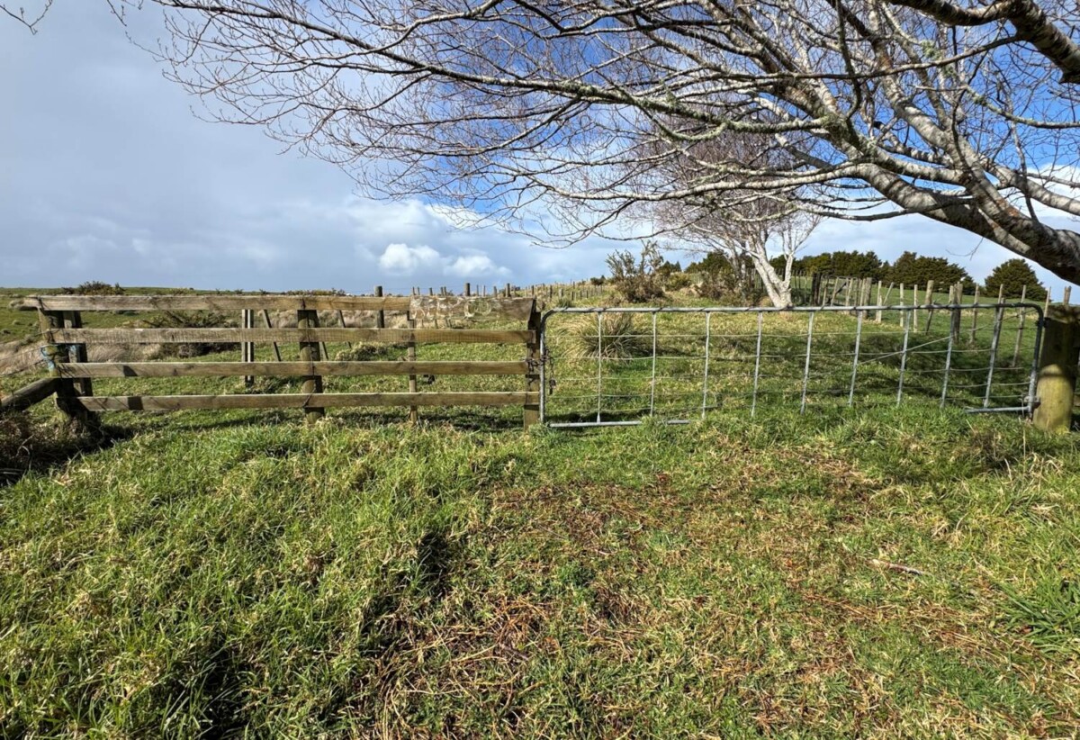 63.838 hectares lifestyle land, The vendor is motivated and ready to cash up, 210G Monowai Road, Wainui, Auckland