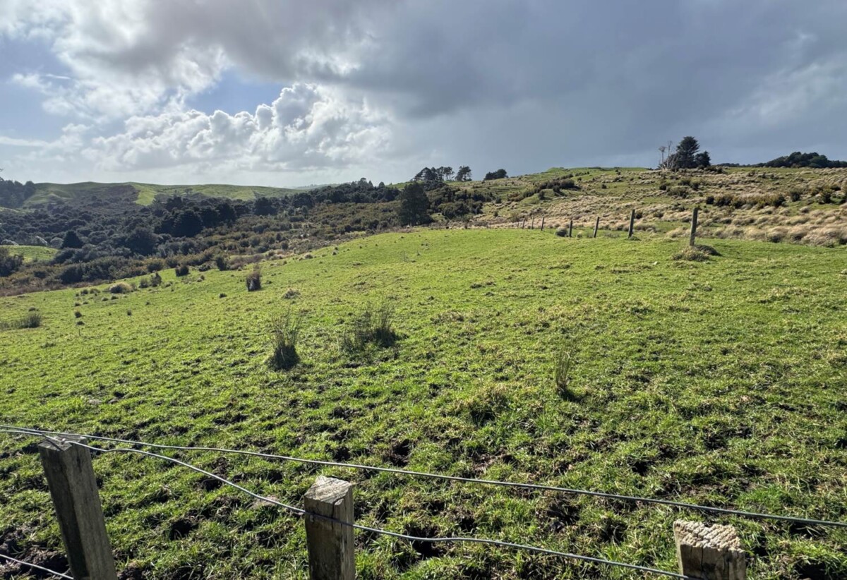 63.838 hectares lifestyle land, The vendor is motivated and ready to cash up, 210G Monowai Road, Wainui, Auckland