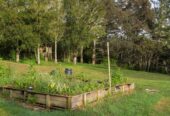 Two Dwellings & Newly Renovated, 6 bedrooms house on 4000m2 land, 116 The Avenue, Albany, Auckland