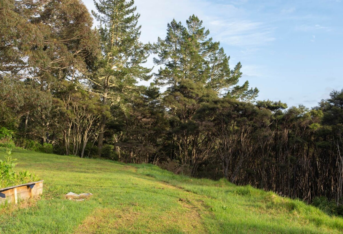 Two Dwellings & Newly Renovated, 6 bedrooms house on 4000m2 land, 116 The Avenue, Albany, Auckland