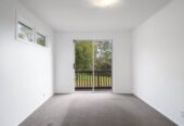 Two Dwellings & Newly Renovated, 6 bedrooms house on 4000m2 land, 116 The Avenue, Albany, Auckland