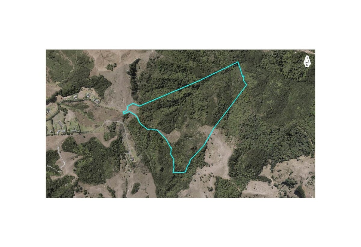 63.838 hectares lifestyle land, The vendor is motivated and ready to cash up, 210G Monowai Road, Wainui, Auckland