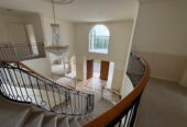 For rent 6 beds 4 baths house, available 24th October, 26 Anaheim Boulevard, Shamrock Park, Auckland