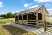 Home & Income Paradise with Subdivision Potential, Coatesville School zone, 6 beds lifestyle houses on 3.3400ha land, 4 beds main home, 2 beds minor dwelling, 41 Berenice Lane, Coatesville, Auckland