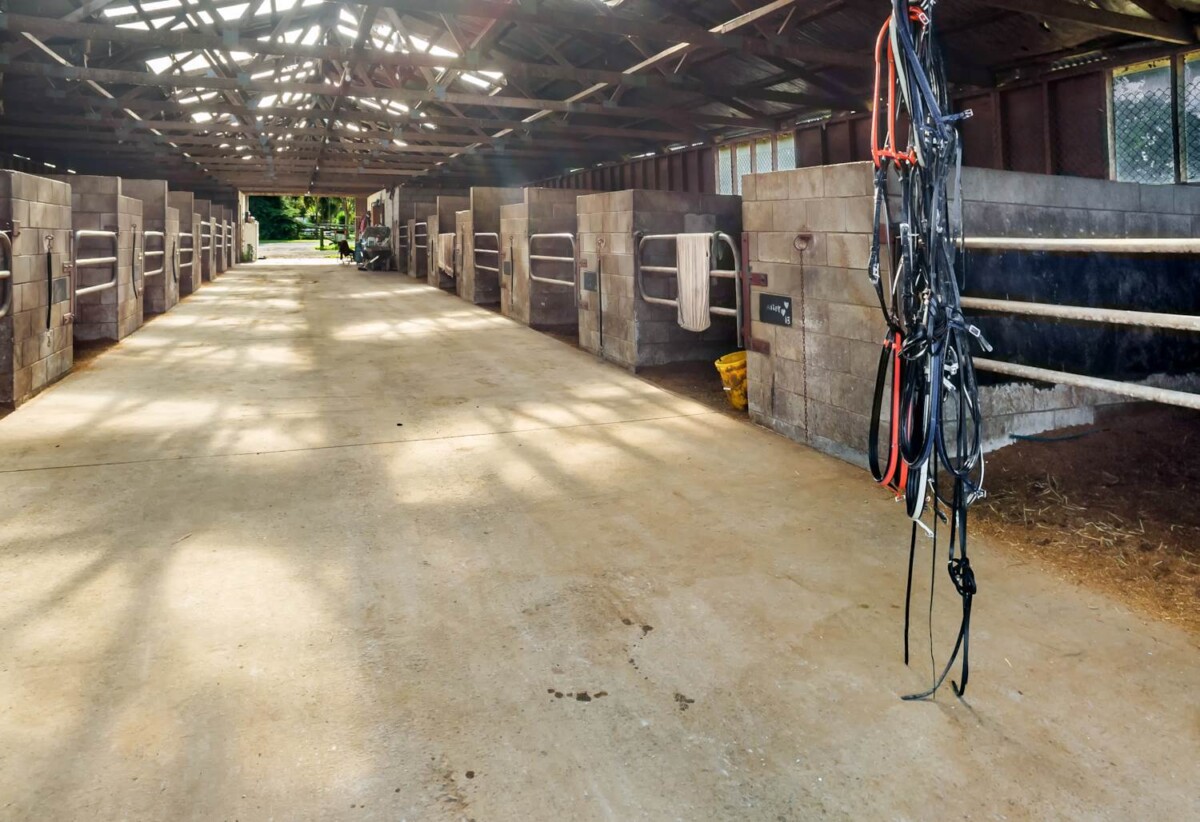 2.7704ha land, just recently rezoned to MHU and ready for development, 4 beds house, 3 beds cottage, 1 bed flat, 27 Royal Doulton Drive, Pukekohe, Auckland