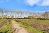 2.7704ha land, just recently rezoned to MHU and ready for development, 4 beds house, 3 beds cottage, 1 bed flat, 27 Royal Doulton Drive, Pukekohe, Auckland