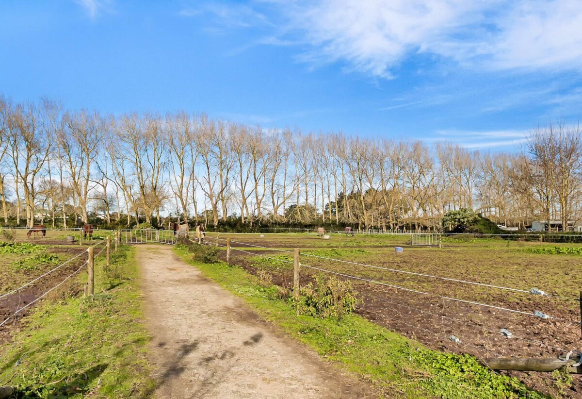 2.7704ha land, just recently rezoned to MHU and ready for development, 4 beds house, 3 beds cottage, 1 bed flat, 27 Royal Doulton Drive, Pukekohe, Auckland