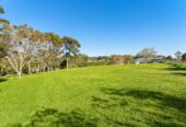 4 beds lifestyle house on 4980m² land, Close to motorways, shopping centers, 59 Kauri Road, Whenuapai, Auckland