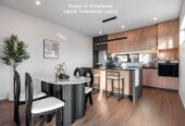 Brandnew 3 beds 3 baths plus study home, 2/10 Scott Road, Hobsonville, Auckland