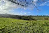 6.5915ha lifestyle land, Natural Beauty with Potential-No Covenant, only 10 minutes to Silverdale, 20 minutes to Albany Mall, 210J Monowai Road, Wainui, Auckland
