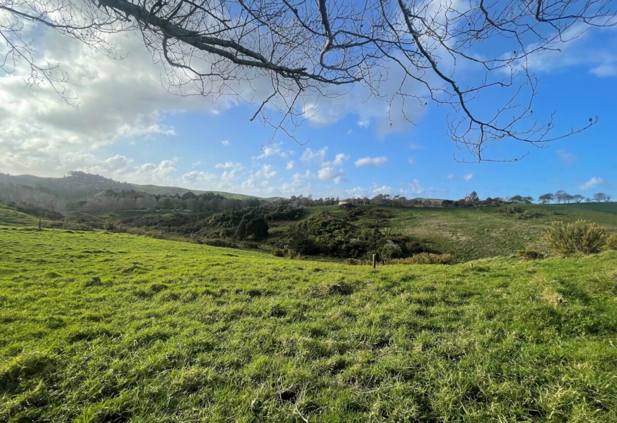6.5915ha lifestyle land, Natural Beauty with Potential-No Covenant, only 10 minutes to Silverdale, 20 minutes to Albany Mall, 210J Monowai Road, Wainui, Auckland
