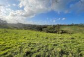 6.5915ha lifestyle land, Natural Beauty with Potential-No Covenant, only 10 minutes to Silverdale, 20 minutes to Albany Mall, 210J Monowai Road, Wainui, Auckland