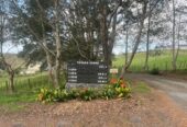6.5915ha lifestyle land, Natural Beauty with Potential-No Covenant, only 10 minutes to Silverdale, 20 minutes to Albany Mall, 210J Monowai Road, Wainui, Auckland