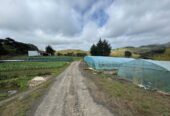 MORTGAGEE SALE, 2.2127ha lifestyle land, sea views, currently used for growing vegetables, 1755 South Head Road, South Head, Auckland