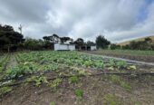 MORTGAGEE SALE, 2.2127ha lifestyle land, sea views, currently used for growing vegetables, 1755 South Head Road, South Head, Auckland
