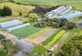 MORTGAGEE SALE, 2.2127ha lifestyle land, sea views, currently used for growing vegetables, 1755 South Head Road, South Head, Auckland