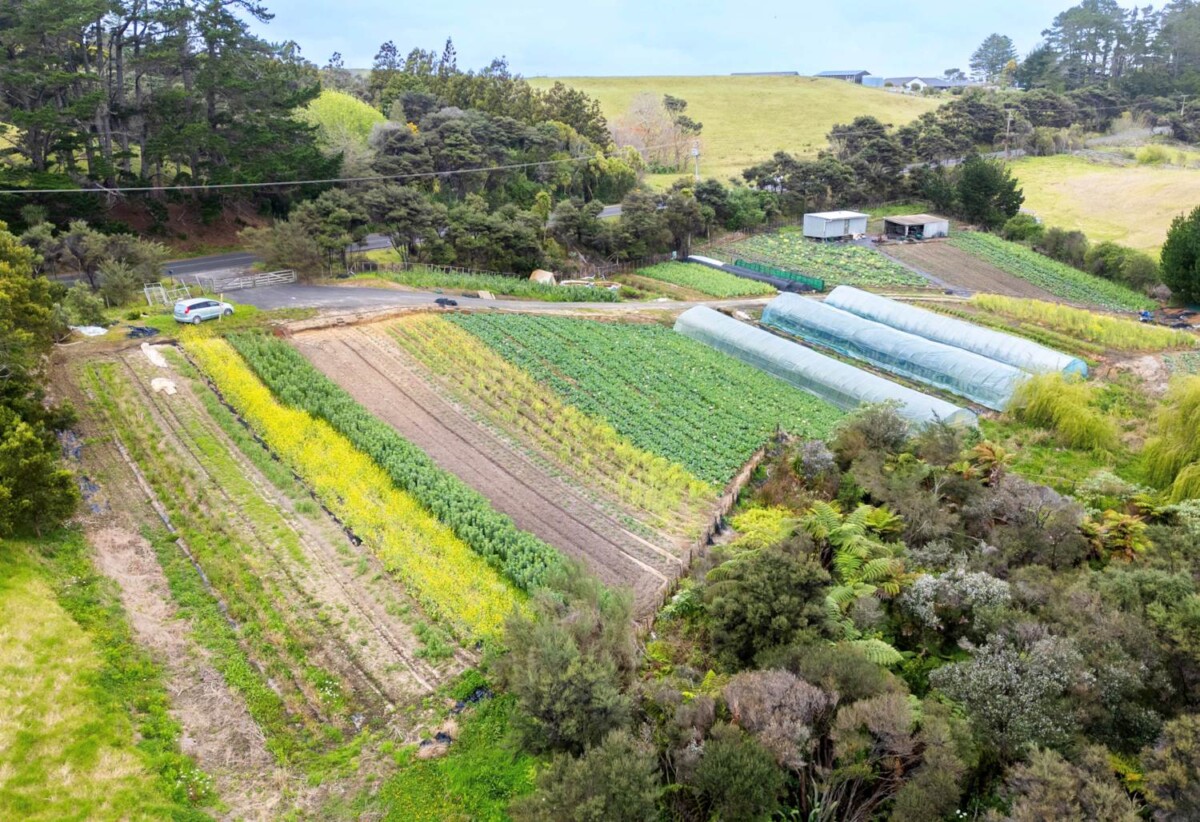 MORTGAGEE SALE, 2.2127ha lifestyle land, sea views, currently used for growing vegetables, 1755 South Head Road, South Head, Auckland