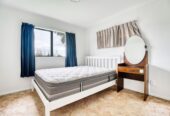 6 beds (4+2) house on 1105m2, walks to Lynn Mall, Zoned Residential – Terrace Housing and Apartment Building, 3199 Great North Road, New Lynn, Auckland