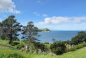 Prestige Coastal Section – 1,966m², 15 Palm View Terrace, Gulf Harbour, Auckland