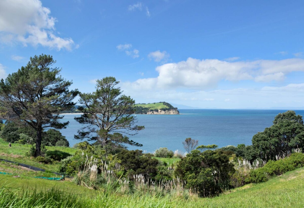 Prestige Coastal Section – 1,966m², 15 Palm View Terrace, Gulf Harbour, Auckland