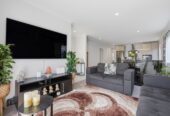 3 beds home, Front yard + back yard, 105 Kuaka Drive, Takanini, Auckland