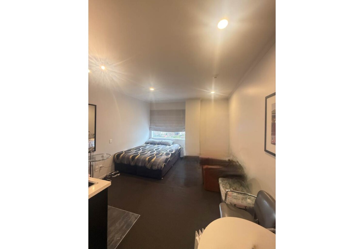 HIGH COURT SALE, 25m² Freehold 1 bed 1 bath studio apartment, currently leased to the Government, for emergency accommodation, 305/219 Federal Street, City Centre, Auckland