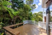 Walks to top schools, Spacious 3 beds house on 729m² section, built from block and cedar, Surrounded by lush native bush, 15 Trelawny Place, Hillcrest, Auckland