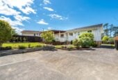 Move-in ready, Renovated 3 beds house, Located directly across from Glendene Reserve and playground, 6 Thornlow Street, Glendene, Auckland