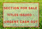 URGENT SALE – MUST SELL WITHIN 2 WEEKS, 217m2 section with title issued for a 4 beds 3 baths house, minutes from Pukekohe Town Centre, 36 Piringa Road, Pukekohe, Auckland