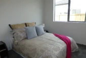6 bed 5 baths (4 ensuites) house on 402m2 section, with 2 beds granny, 18 Horsefield Drive, Flat Bush, Auckland
