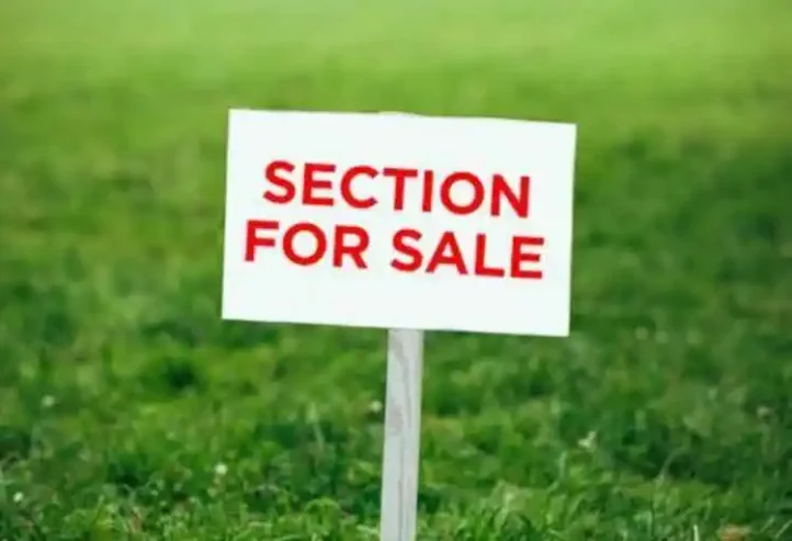 142m2 Affordable Seaview Section, 25 Tiller Street, Hobsonville, Auckland