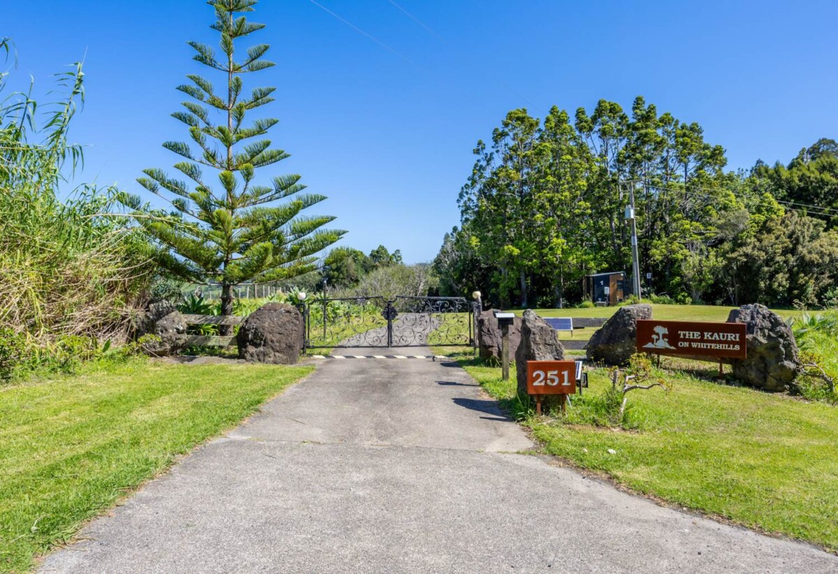 Brick Luxury 6 beds lifestyle house on a private gated 2.46 hectares (mol) of native bush, adorned with established Kauri and Rimu trees, 251 Whitehills Road, Waitoki, Wainui, Auckland