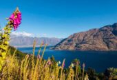 3413m2 land, Build Your Dream Home with Extraordinary Views, Lot 1 Summit Lane, Queenstown