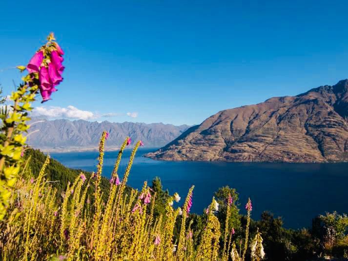 3413m2 land, Build Your Dream Home with Extraordinary Views, Lot 1 Summit Lane, Queenstown