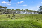 1.05ha section with views, Close to quality schools, NorthWest Shopping Centre & Swanson Train Station, Lot 14/148-176 Waitakere Road, Taupaki, Auckland