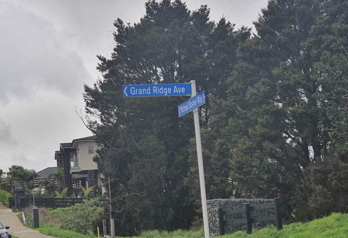 Vendor’s circumstances changed, 489m2 Prime Bremner Ridge Section Must Be Sold, Ormiston school zone, draft plan available, 10 Grand Ridge Avenue, Flat Bush, Auckland