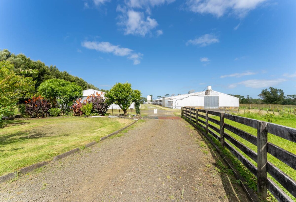 3 beds + 1 big office room on 4.0471ha land, 2 standalone garage, 4 large metal sheds (approx. 700m² each), 1.3 km to Whenuapai School, 4 km to Hobsonville Point Secondary School, 33 Riverlea Road, Whenuapai, Auckland