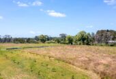 3 beds + 1 big office room on 4.0471ha land, 2 standalone garage, 4 large metal sheds (approx. 700m² each), 1.3 km to Whenuapai School, 4 km to Hobsonville Point Secondary School, 33 Riverlea Road, Whenuapai, Auckland