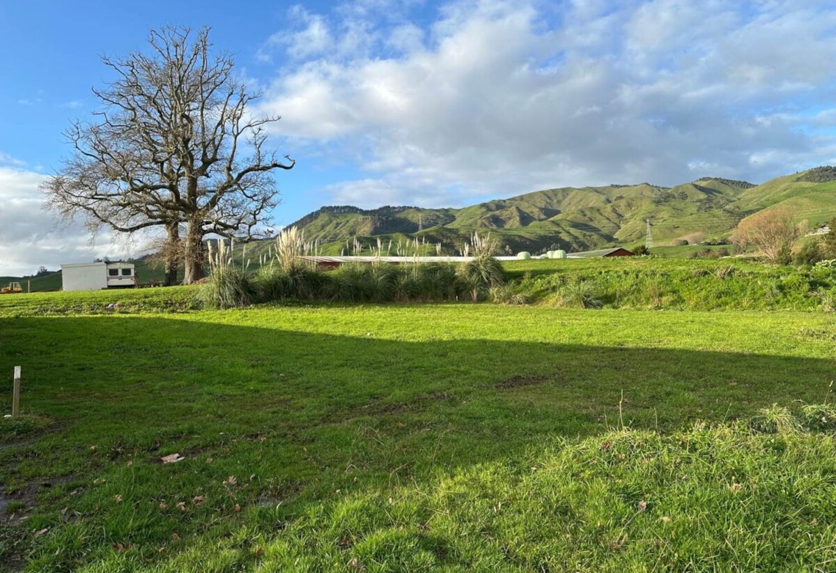 Affordable freehold 629m2 flat section, Approximate drive times:: 20 minutes to Waihi beach, 5 minutes to the Karangahake Gorge , 1.5 hours to Auckland, 1 hour to Hamilton, 1 hour 15 minutes to Tauranga, 2 Sunline Crescent, Paeroa, Hauraki District, Waikato