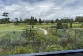 254m2 brandnew 4 beds + 1 multifunction room 3.5 baths house with double garage on 301m2 section, 2 kitchens, next to a golf course, close to schools, shops, motorway access, 35 Puia Street, Papatoetoe, Auckland