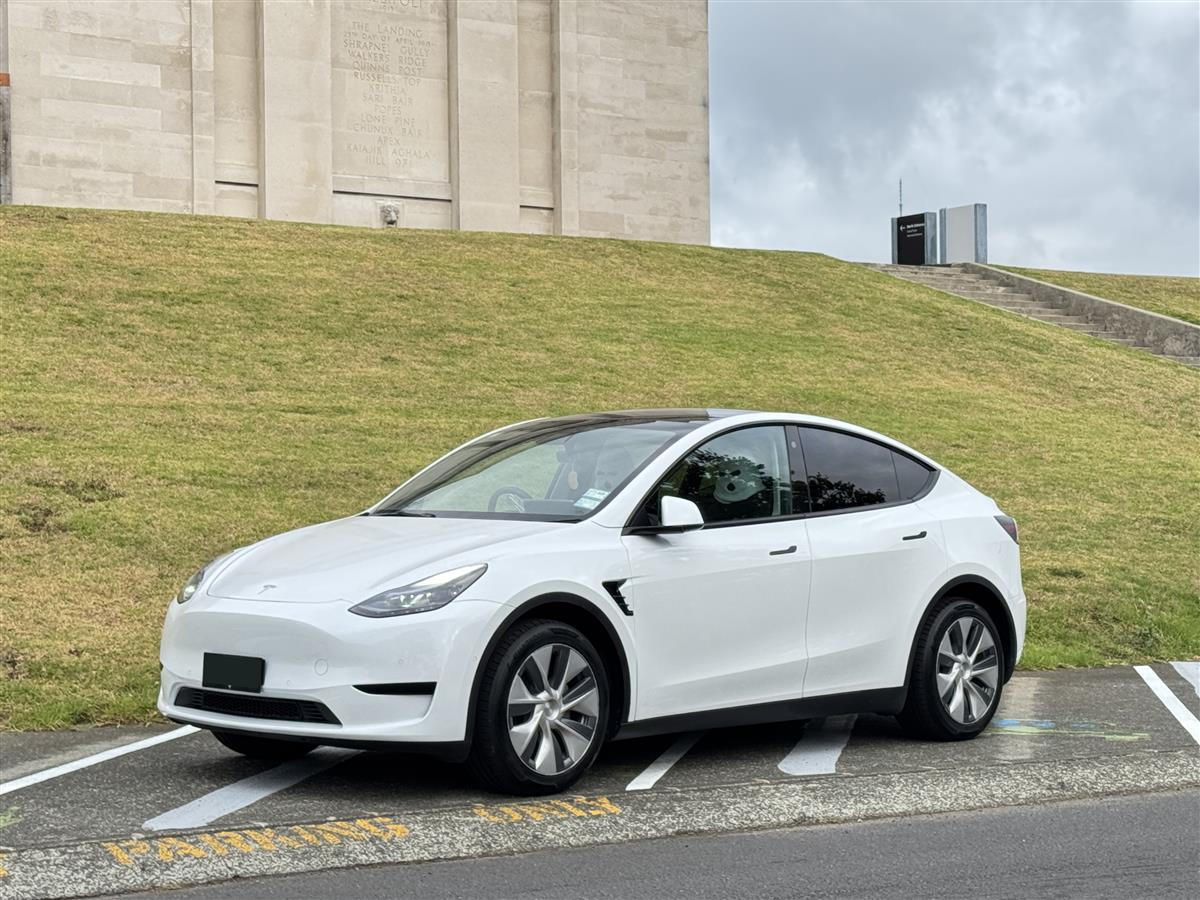 2023 Tesla Model Y RWD, RV/SUV Automatic, 5 seats, Beige, Electric, 36,000 km