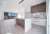 Last One – Bottom Price, Brick brandnew 4 beds 3 baths home with car park on 130m2 section, with backyard and deck, walking distance to New primary school and kindergarten., 12 Waimarie Drive, Karaka, Auckland