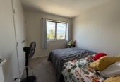 For rent,near-new 4 beds 2 baths house with garage, available 28th February, 29A Rotoiti Avenue, Pakuranga Heights, Auckland