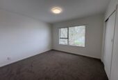 For rent, Newly Refurbished 3 beds 1 bath house with garage, zoned for Owairoa Primary School, Howick Intermediate, Howick College, available now, 224B Moore Street, Howick, Auckland