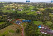 MORTGAGEE SALE, need to be completed, 643m2 luxury 5 beds 4.5 baths house on 7279m2 section, A rare chance to complete a high-end project, 1.5 km to Coatesville School, 3.7 km to Albany Senior High School, 4.1 km to Albany Junior High School, 54A Donaldson Drive, Coatesville, Auckland