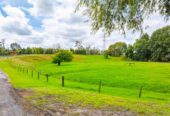 Zoned for countryside living, Build your dream, 4.4404ha section with 1 bed + 1 big office room 1 bed cottage, minutes to Coatesville village and only a short drive to Albany, 1.7 km to Riverhead School, 736 Coatesville Riverhead Highway, Riverhead, Auckland