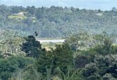642m2 section, Site work started, expected title to be issued within 12 months., Fully serviced sites with water, power, wastewater & stormwater connection., Delivered by trusted & experienced local developer., Pre construction release, exceptional value, 10% to secure now, Lot 7/114 Upper Harbour Drive, Greenhithe, Auckland